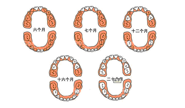 新爸妈必知的宝宝长牙5大阶段如果18月龄左右仍然是"没长牙的孩子"
