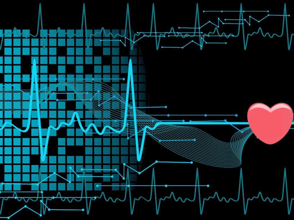 每分钟18到19次的心跳频率对人而言意味着什么