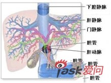 门静脉高压症名词解释