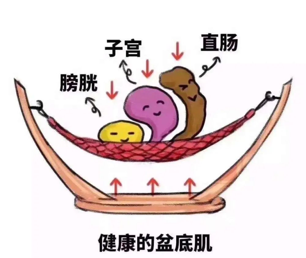 77岁阿姨的子宫,膀胱都脱垂,盆底重建术治好了她的难言之隐-李旭东副