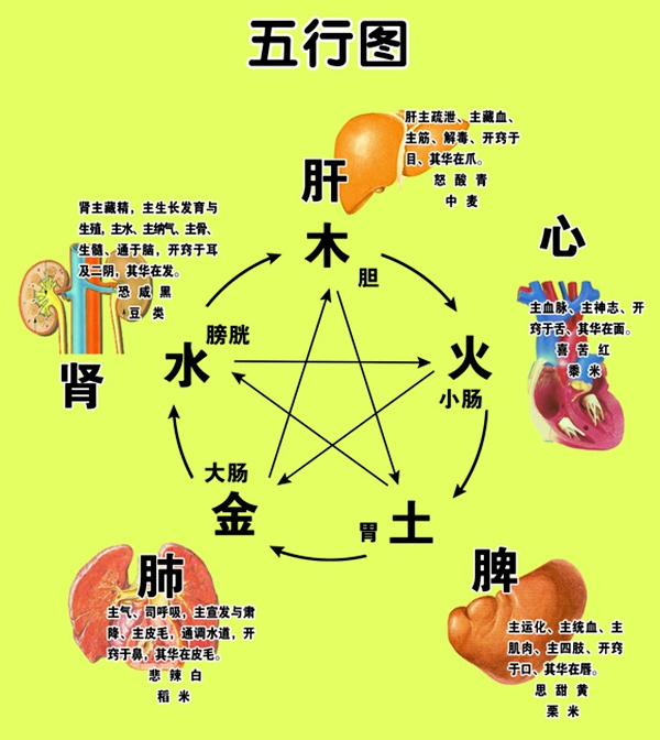 现在的中医你失去了什么?