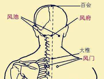 脑梗艾灸哪个部位图图片