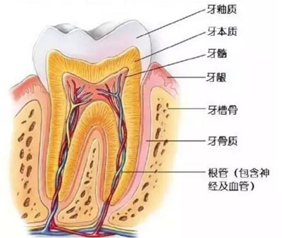 牙周炎可危害全亿博电竞app下载身健康