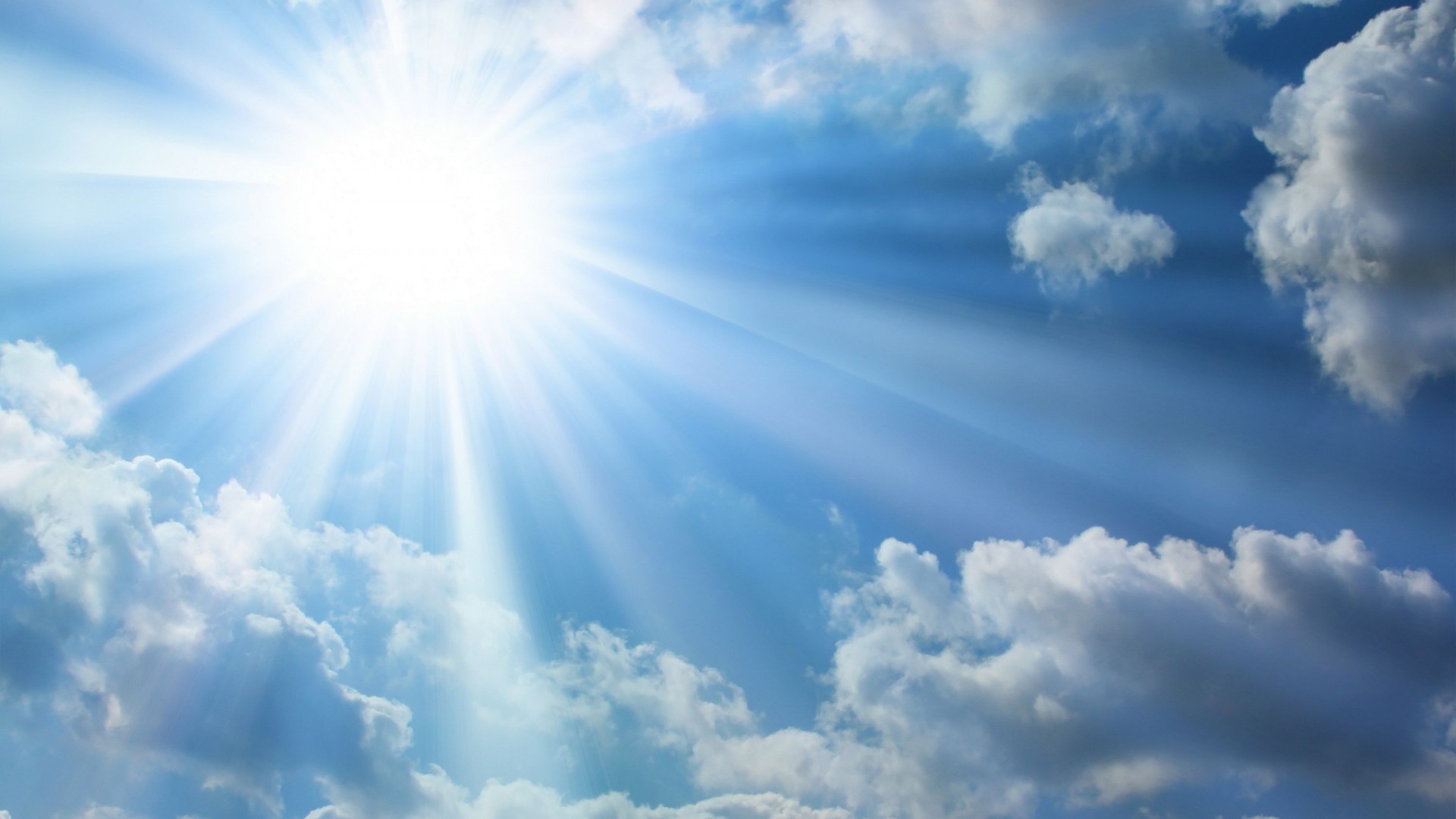 "sunlight"的图片搜索结果