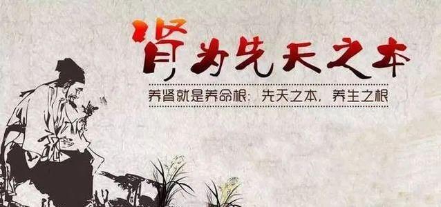 王洪霞:为什么说"肾为先天之本,脾为后天之本"