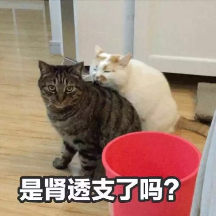我不要你觉得,我要我觉得:拯救肾不支,听我的!