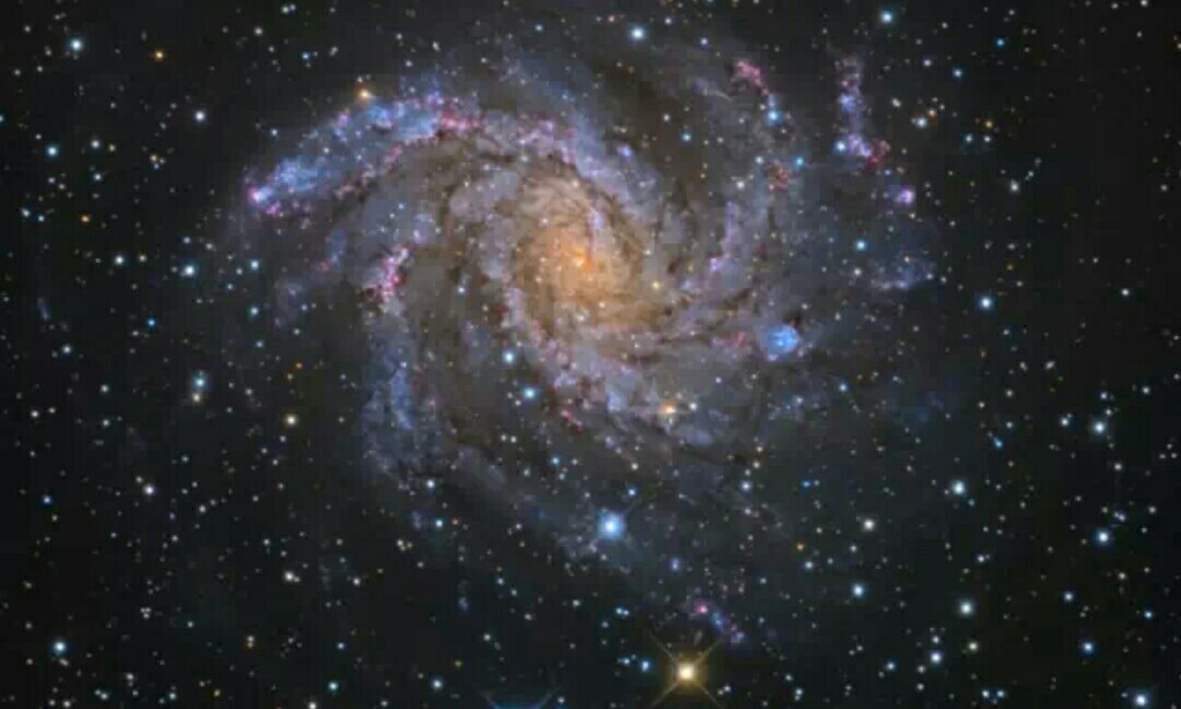 第5天从环跳穴中流出脓液,用火罐将毒液吸出,对口疮或搭背疮即可随之