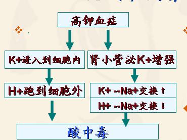 肾小管钠钾交换机制图片