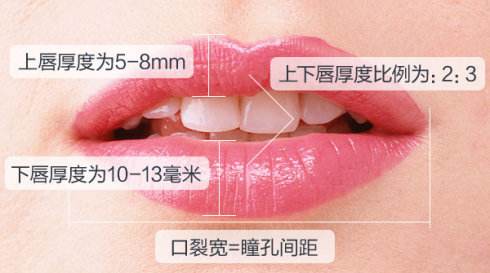 瞳孔中央首先了解一下,唇部美学标准大家常见的都是厚唇改造m唇手术