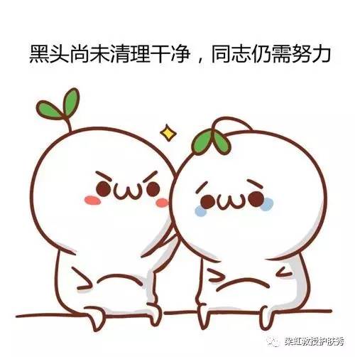 【梁虹护肤】 恼人的黑头怎么办?