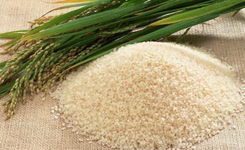 吃米饭会导致肥胖吗?还会导致糖尿病吗? u=1978456194,2658036346&fm=27&gp=0.jpg