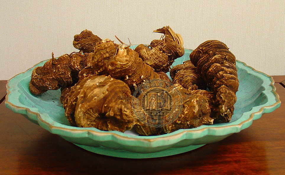 每天一味中草药:重楼,七叶一枝花,又名蚤休,能治蛇毒-张会永副主任