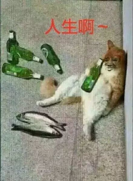 我不要你觉得,我要我觉得:拯救肾不支,听我的!