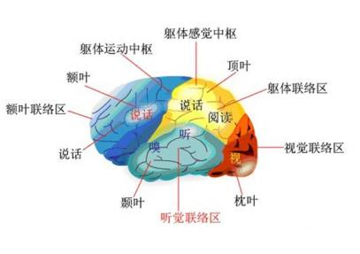 患者疑问幻嗅一定为脑肿瘤吗