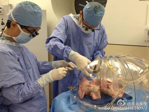 我们第一次直播了中国器官移植手术