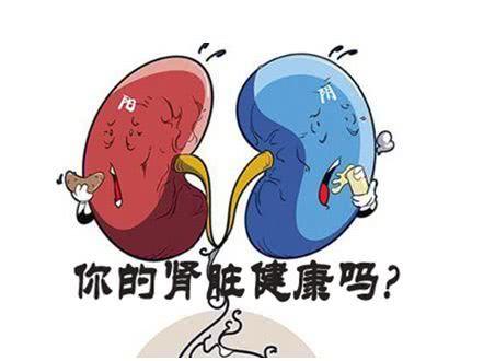 你的肾健康吗?出现这些症状要小心了,做好4点很重要