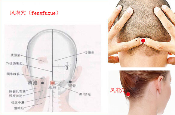 【风府穴】受风会致病的重要穴位