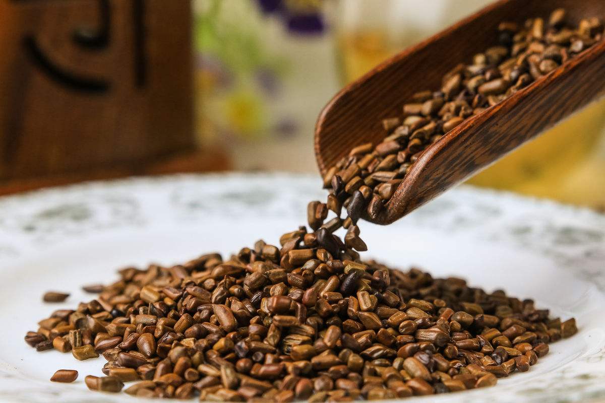 清热明目决明子邓老善用来降压