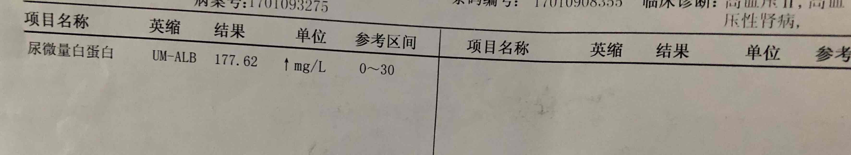 尿微量白蛋白