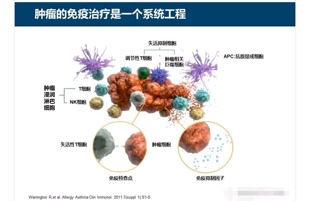 什麼是非小細胞肺癌的免疫治療?