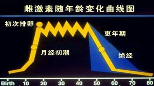 节律性收缩的振幅等,都与雌激素有内在的联系 促使子宫内膜发育