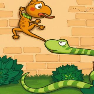 尽管也有收缩,但非常有限,同时也不能像壁虎那样采用再生的方式愈合