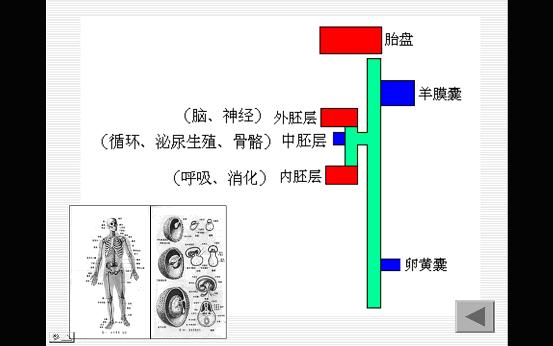 河圖洛書與中醫學