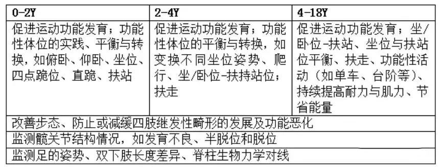 粗大运动功能分级系统gmfcs临床分级