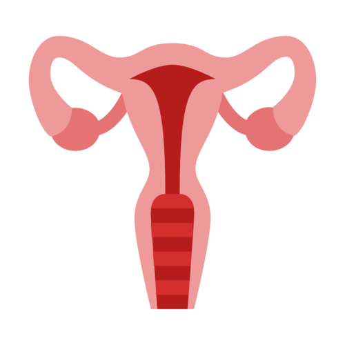 引起子宫性不孕的原因有哪些