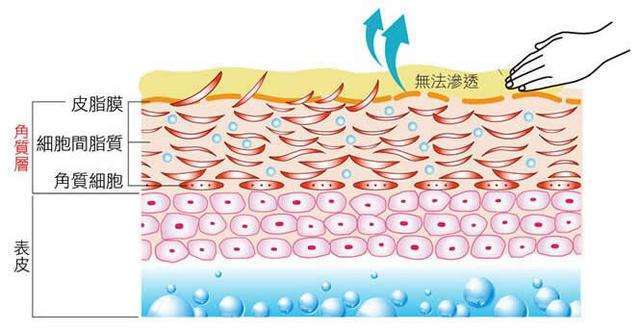 皮肤营养过剩究竟是谁惹的祸