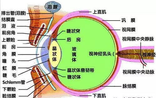 苹果肌提升手术_苹果肌提升手术视频_提升苹果肌什么手术效果最好