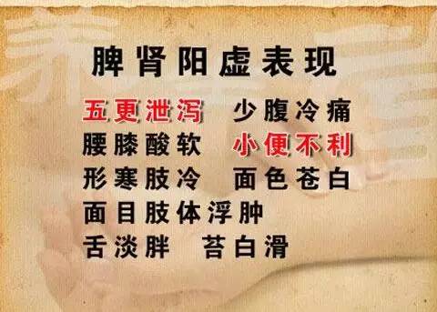 肾阳虚如何调理,肾阳虚,肾阳虚的症状有哪些_大山谷图库