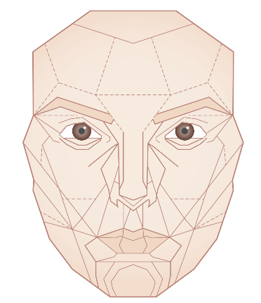 面部数字化美学(一—面部黄金比例