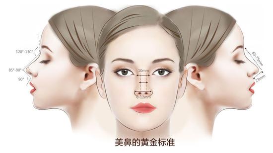 亚洲人鼻子类型图片