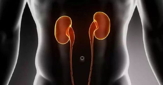 肾衰竭早期有哪些症状？