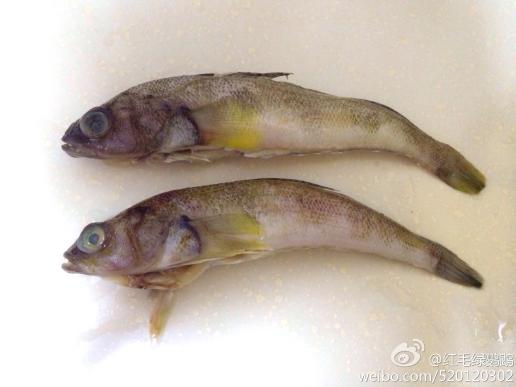 谁能告诉我介货是什么