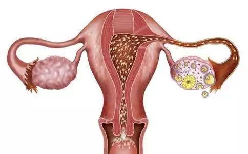 卵巢早衰十大征兆,网上传疯了