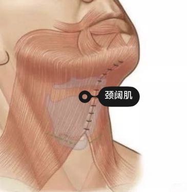 什麼人適合做下頜緣和雙下巴吸脂-劉靖濤副主任醫師-愛問醫生