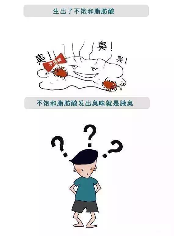 人为什么会有腋臭一张漫画告诉你