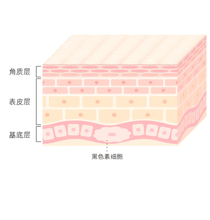 听说色斑会扩散?