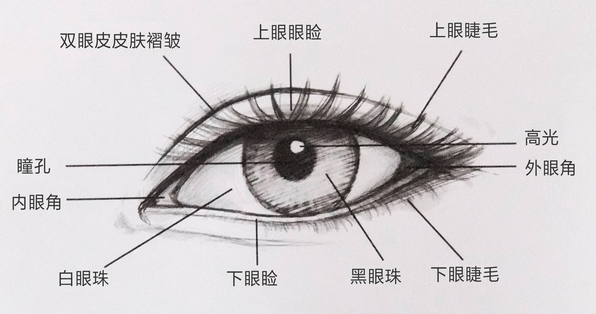 有灵气的眼神是什么样子的