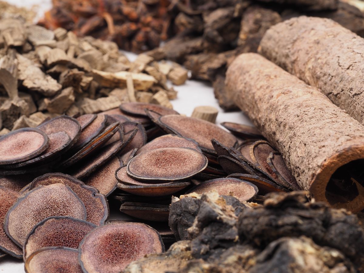 第十八章:用更详尽的思维来学习中医