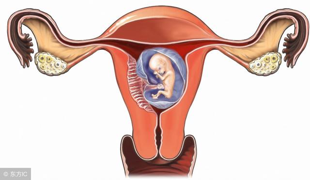 妈妈把子宫送给了我:子宫移植那些事_医生说_39健康网