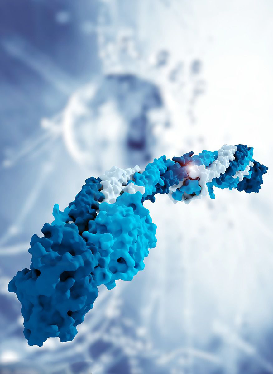 血浆中的蛋白是一种怎样的存在?