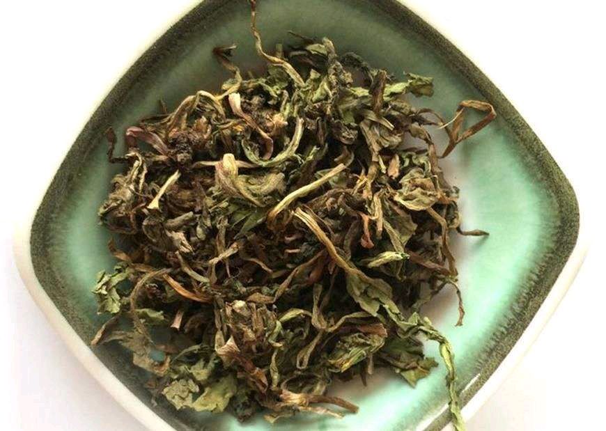 蒲公英泡水养生需要辨证慎用