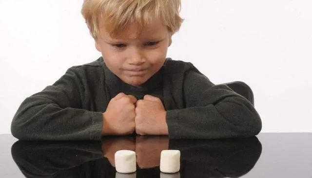 脾气差长大就会没出息?斯坦福实验教你如何培养孩子自控力