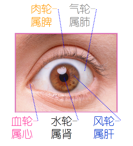 眼睛有血丝的小孩