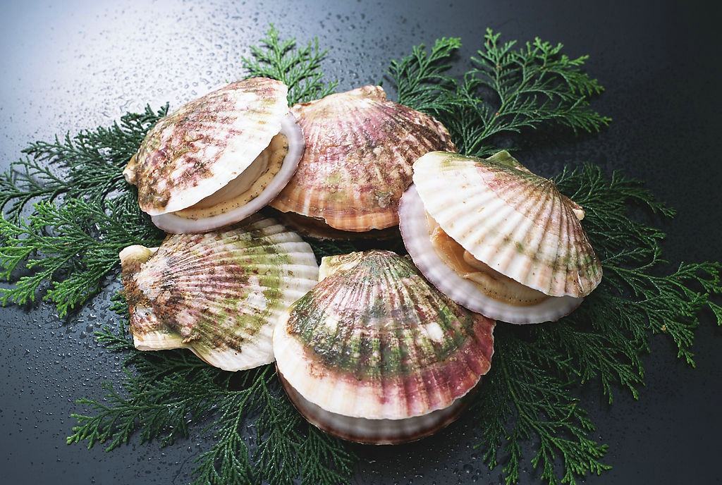 猪肝、胡萝卜和枸杞 <wbr>到底有没有护眼功效 贝壳.jpg