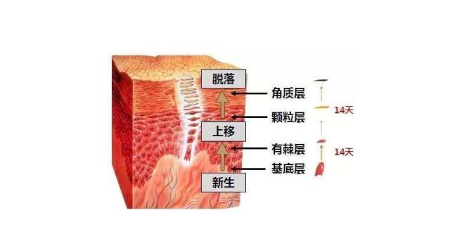 对抗红魔世界光子嫩肤才是王道