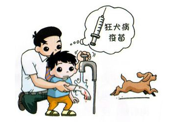 狂犬病.jpg